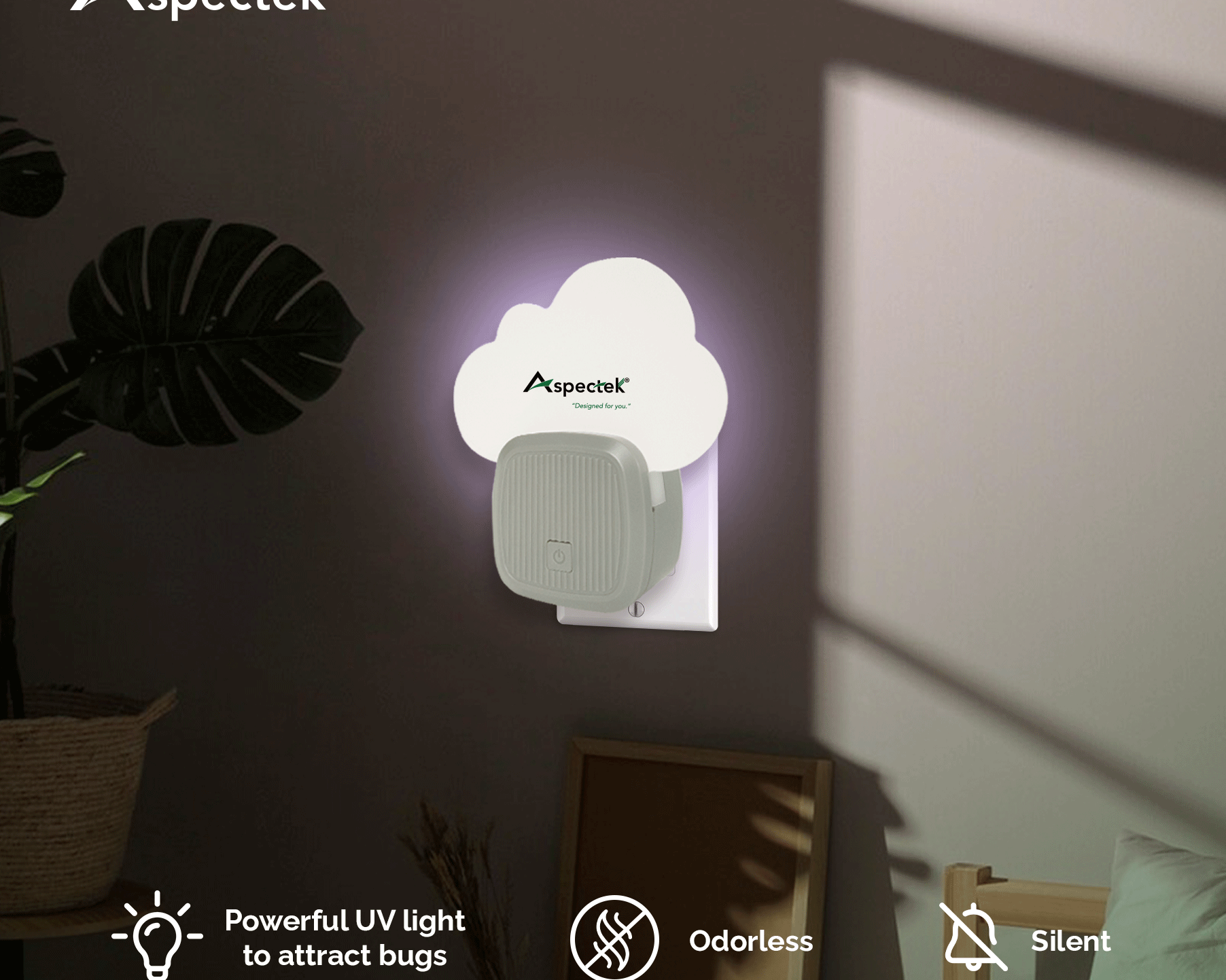 Fly Trap: The Ultimate Solution for a Pest-Free Environment