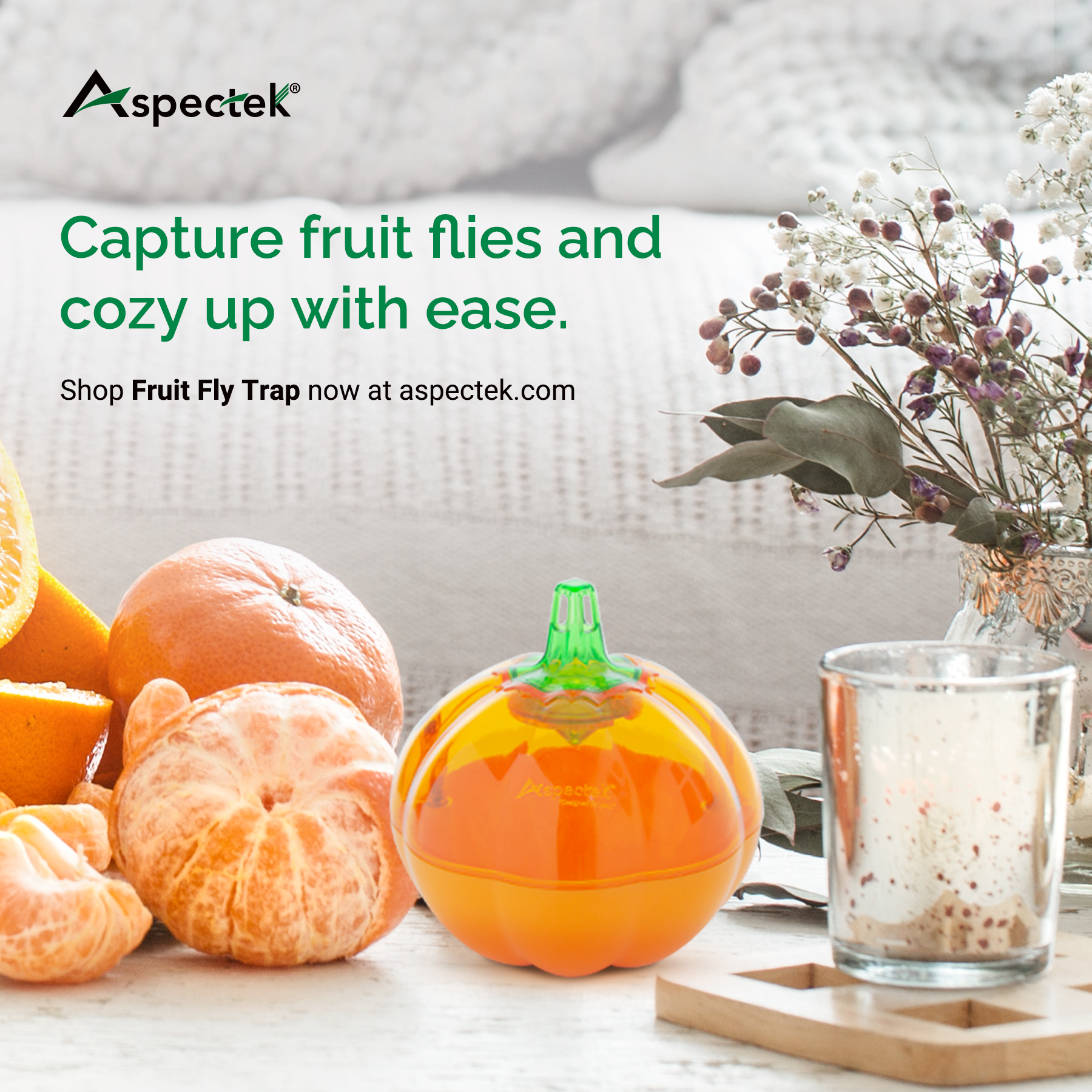 Fruit Fly Traps Banishing Pesky Intruders with DIY Solutions