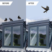 Durable bird spike deterrent to prevent birds from landing on ledges, roofs, and fences