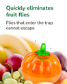  Fruit Fly Trap (Pumpkin Shape)