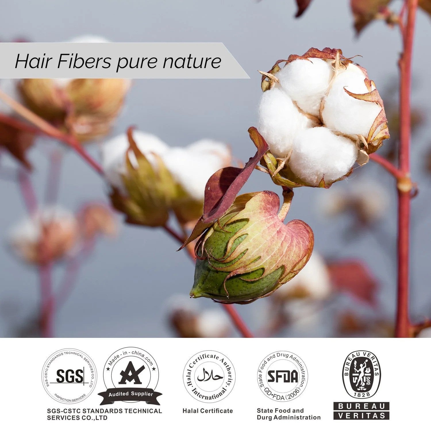 Hair Building Solution and Magic Comb - Black