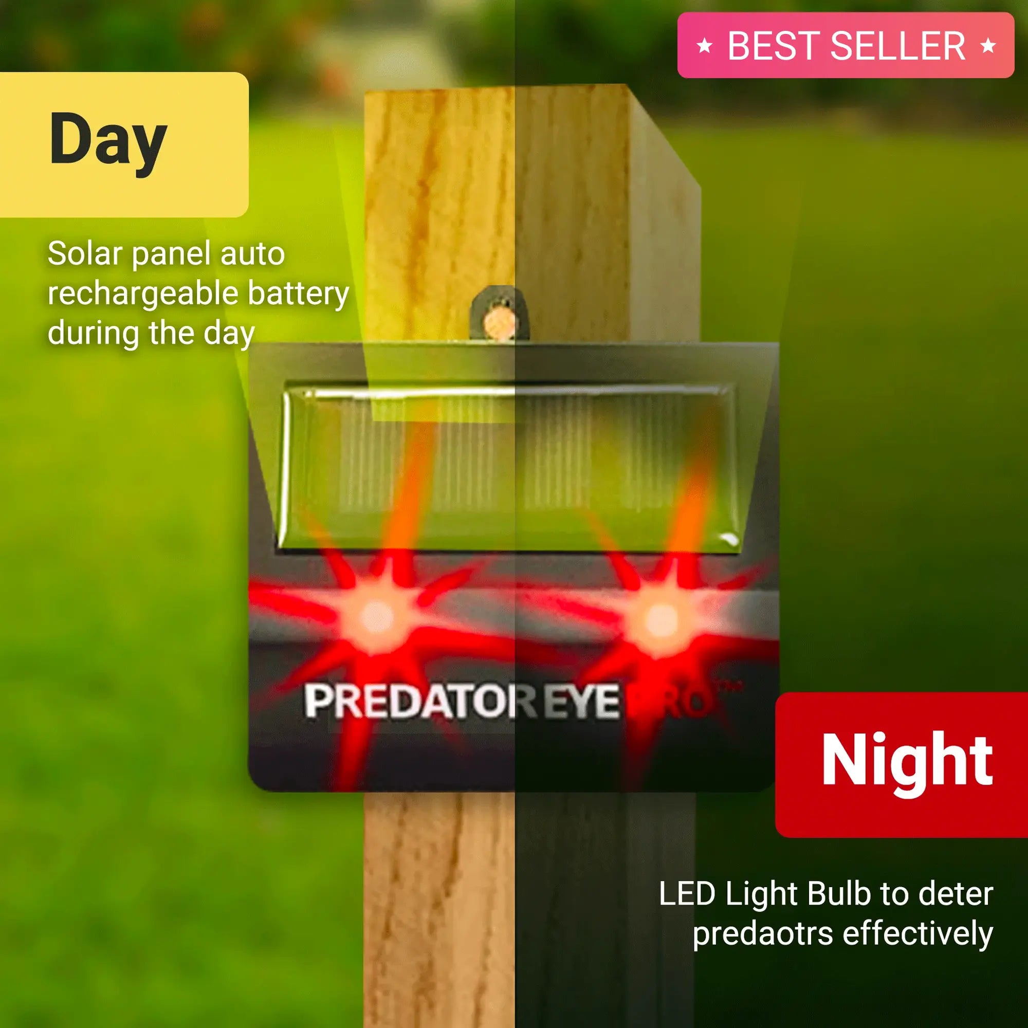 Nighttime guardians: Aspectek Predator Eye PRO