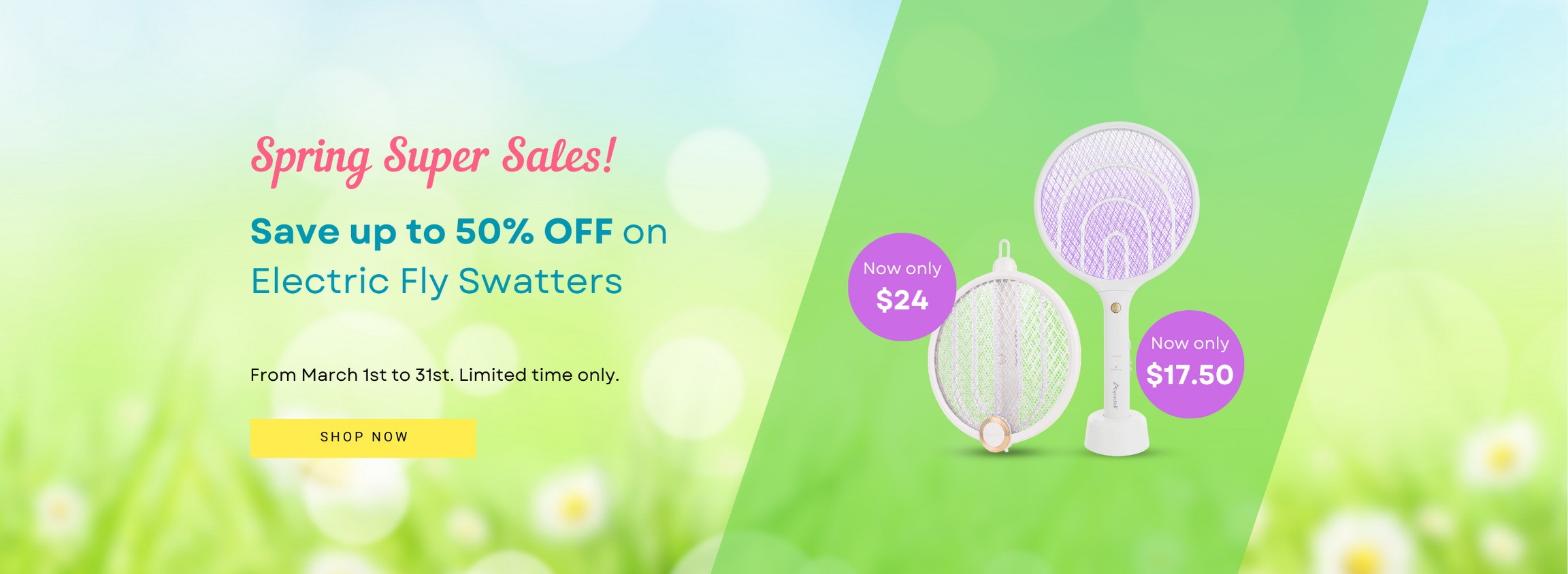 spring_sales_-_fly_swatter.png