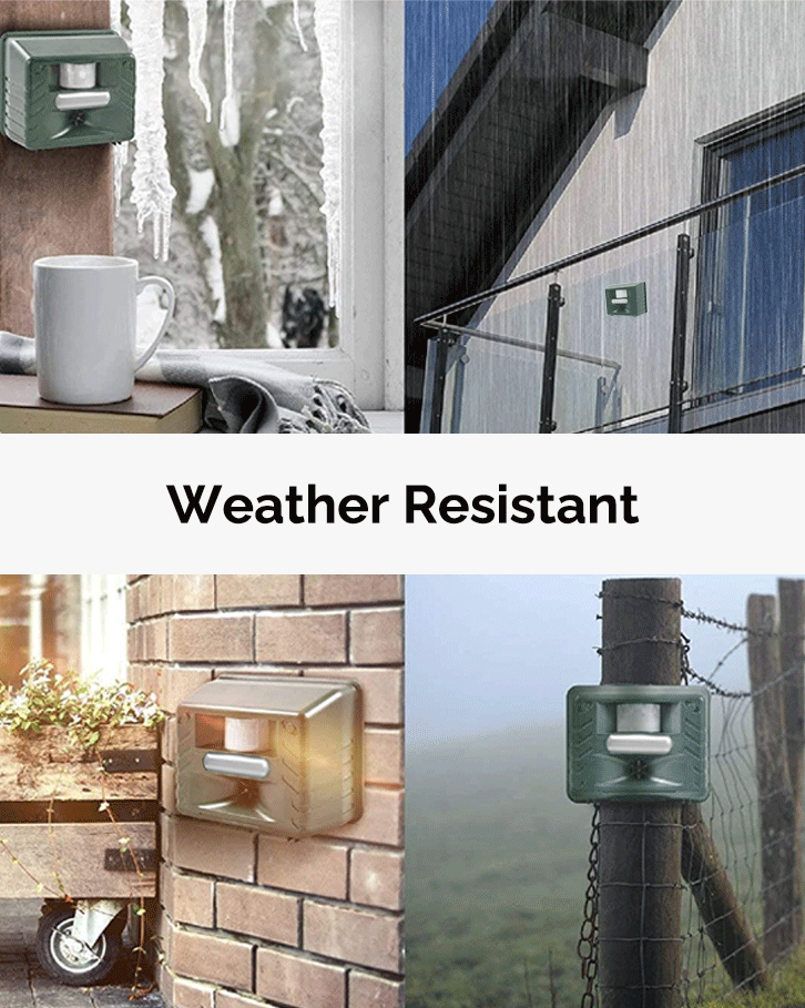 Yard Sentinel + Strobe Light Outdoor Ultrasonic Animal Repeller, Waterproof – Cat Repellent, Skunk Repellent, and Bird Repellent (1-Pack)