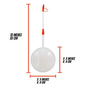 Safe and Practical Insect and Ant Killer