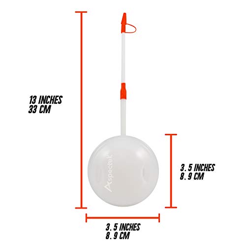 Safe and Practical Insect and Ant Killer