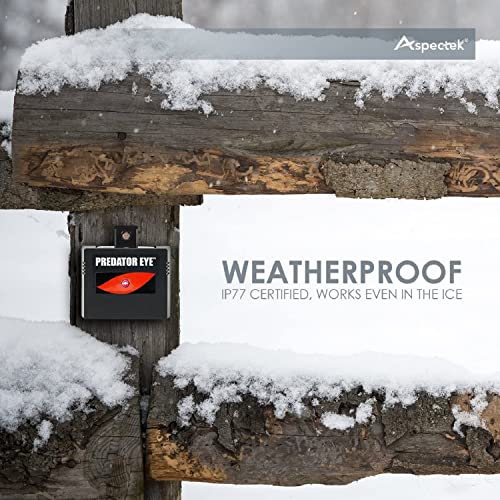 Aspectek Solar Rechargeable Predator Eye: Nighttime deterrent light defends against Coyote, Deer, Cat, Raccoon, Skunk, Weatherproof design - 2-Pack