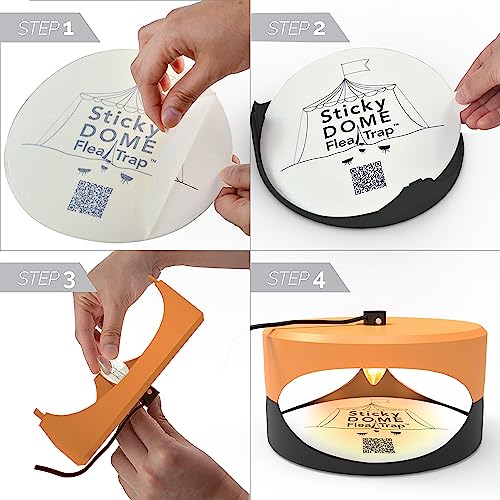 <img src="stickydome.png" alt="This is sticky dome">