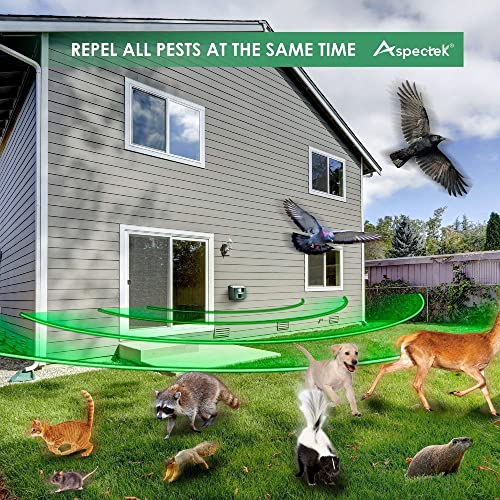 An electronic guardian for your garden: Yard Sentinel