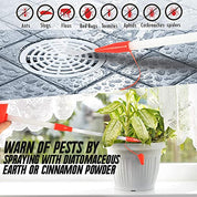 Safe and Practical Insect and Ant Killer