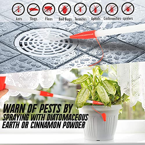 Safe and Practical Insect and Ant Killer