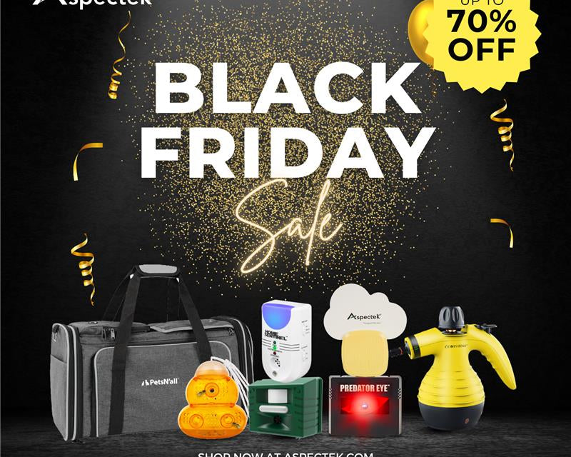Unlocking Savings: A Black Friday Extravaganza with an Extra 20% Off!