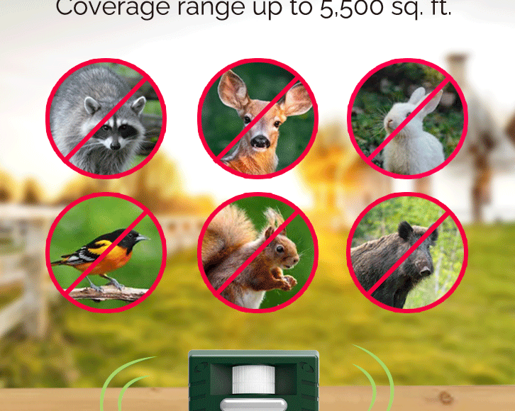 Protect Your Home and Family: Why the Yard Sentinel Outdoor Ultrasonic Animal Repeller is a Must-Have?