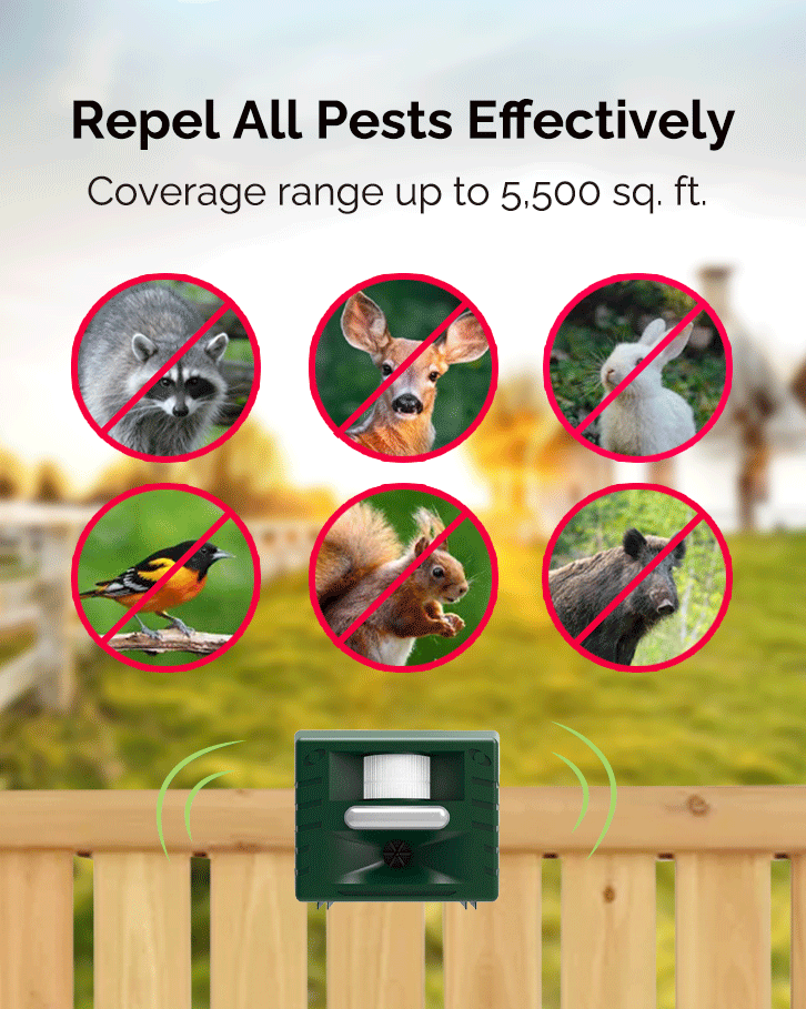 Protect Your Home and Family: Why the Yard Sentinel Outdoor Ultrasonic Animal Repeller is a Must-Have?