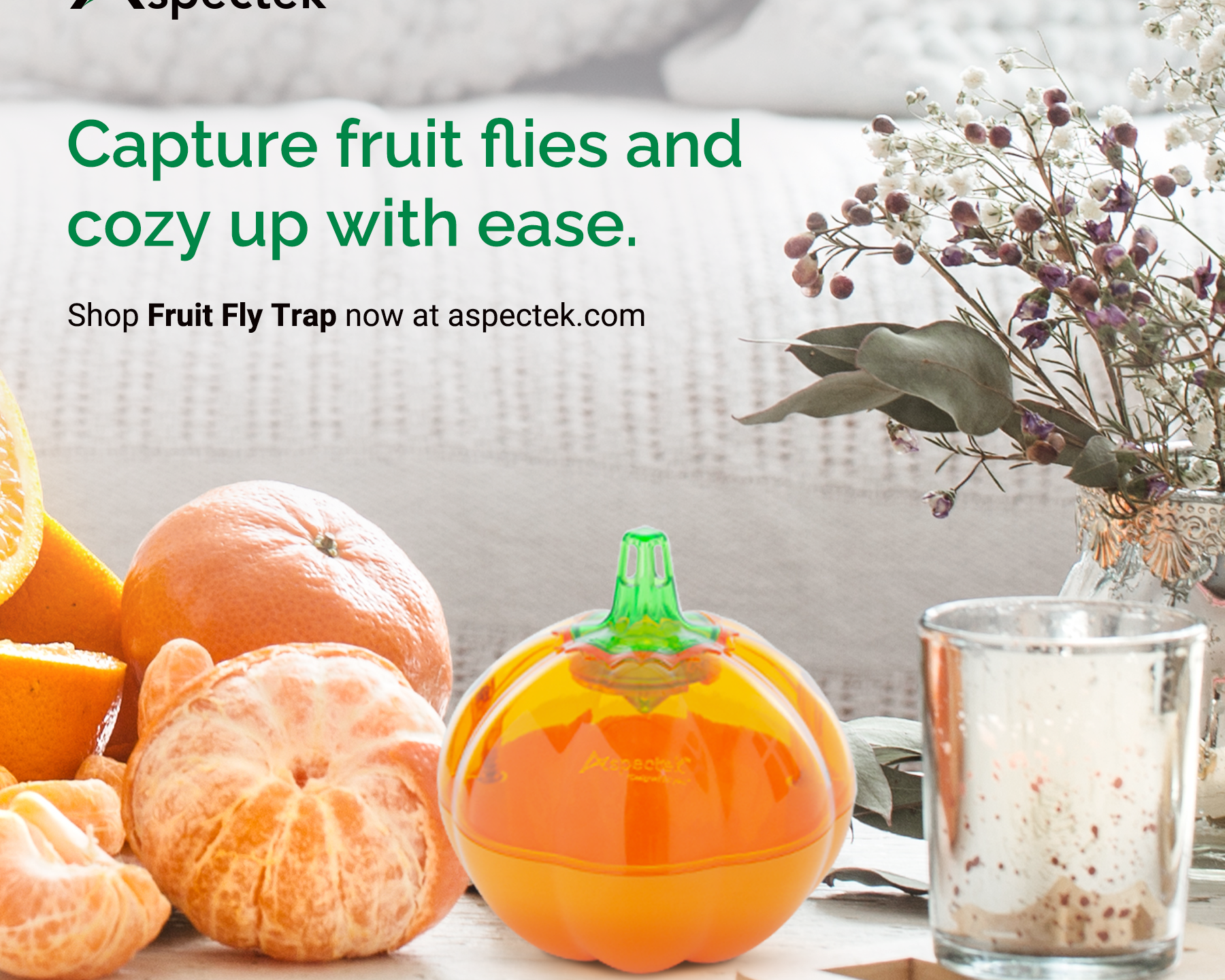 Fruit Fly Traps: Banishing Pesky Intruders with DIY Solutions