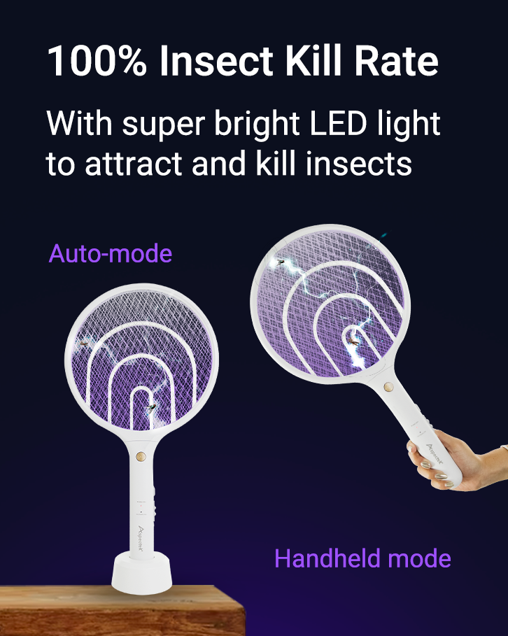 Essential Products for a Bug-Free and Fresh Spring Season