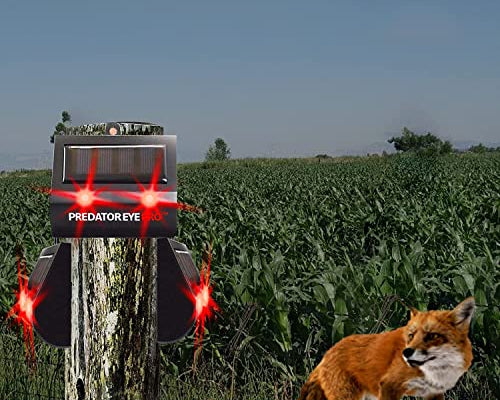 animal control_predator eye