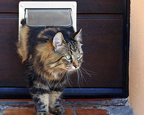 🐾🚪 Introducing the Cat Door: Give Your Feline Friend the Freedom They Deserve!