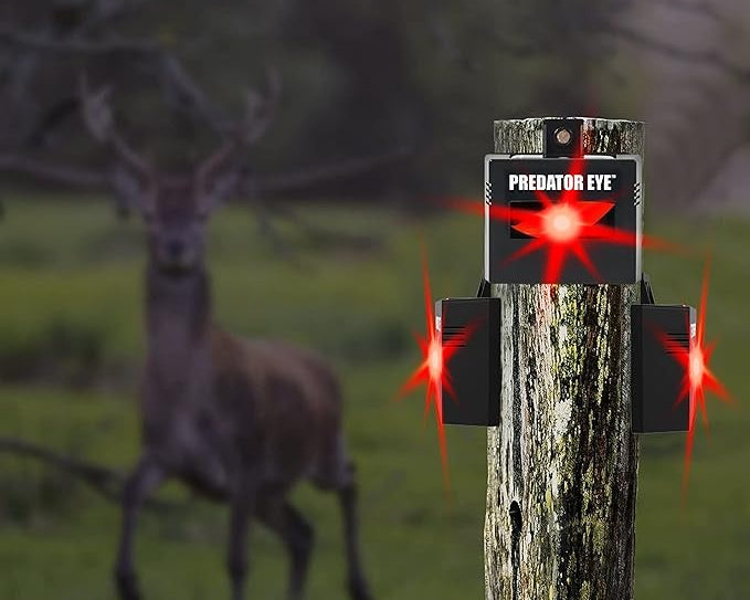Keep Your Home Safe with Aspectek Solar Predator Eye Animal Deterrent