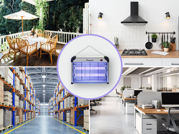 Bug Zappers: An Effective Solution for a Bug-Free Environment