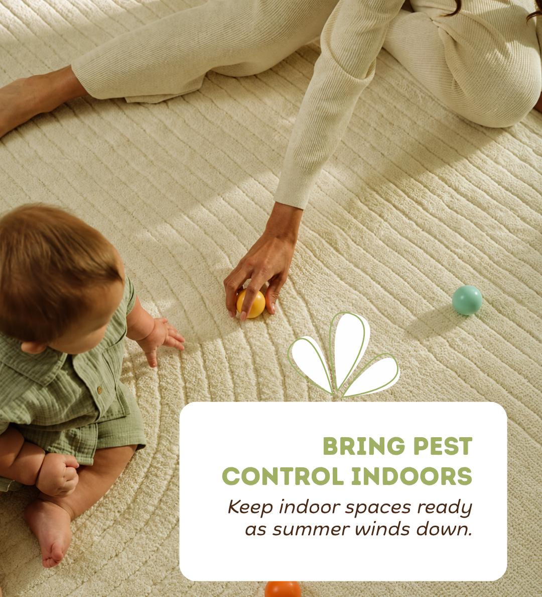 Indoor Pest Control for Fall: How to Keep Your Home Ready