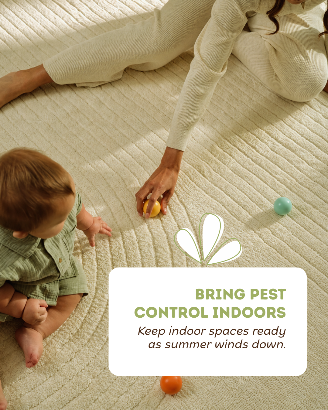 Indoor Pest Control for Fall: How to Keep Your Home Ready
