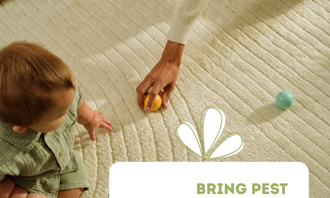 Indoor Pest Control for Fall: How to Keep Your Home Ready