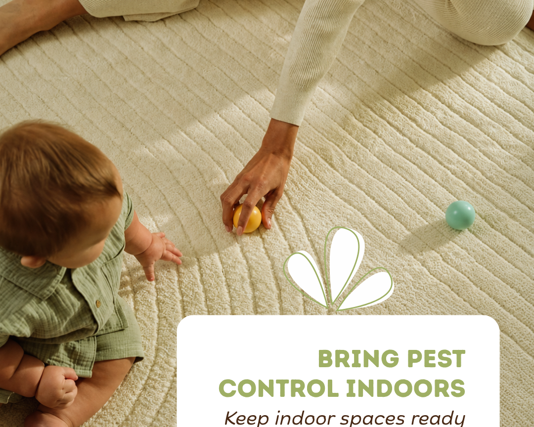 Indoor Pest Control for Fall: How to Keep Your Home Ready