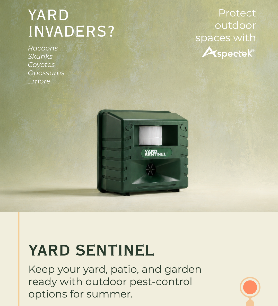 Yard Invaders?