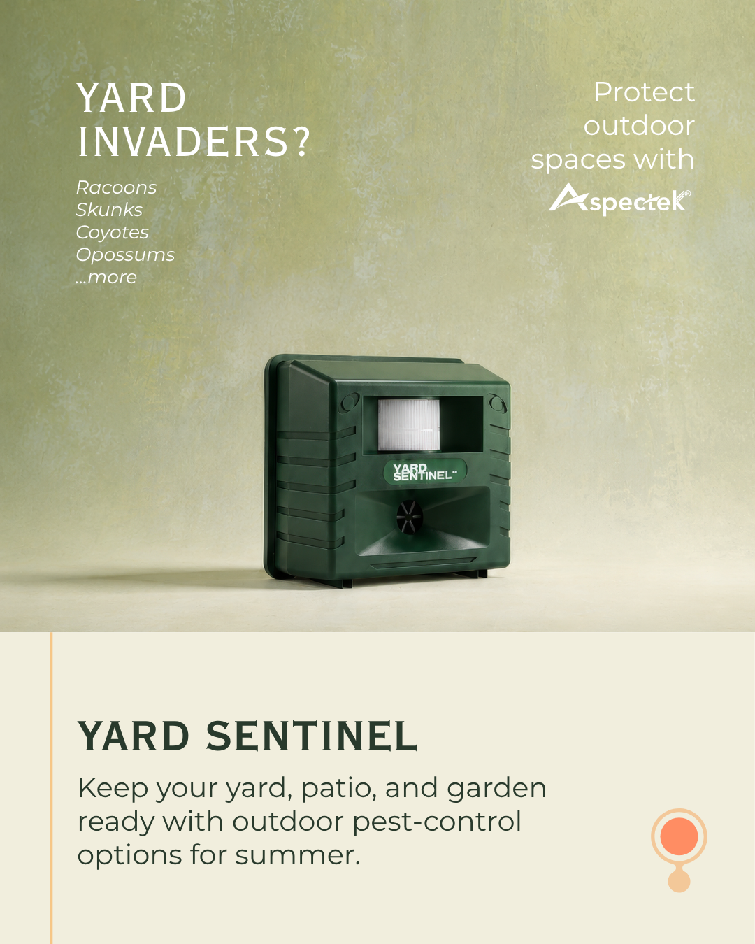 Yard Invaders?