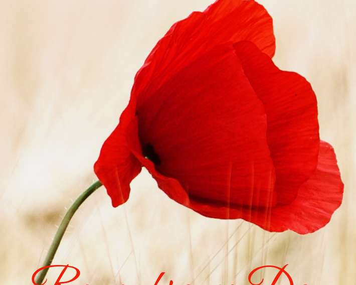 Honouring Heroes, Embracing Peace