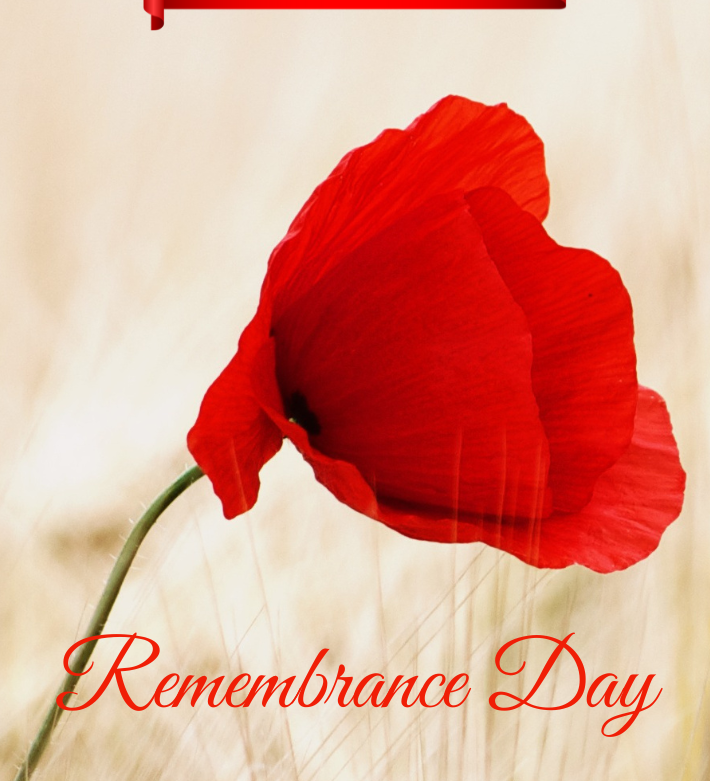 Honouring Heroes, Embracing Peace