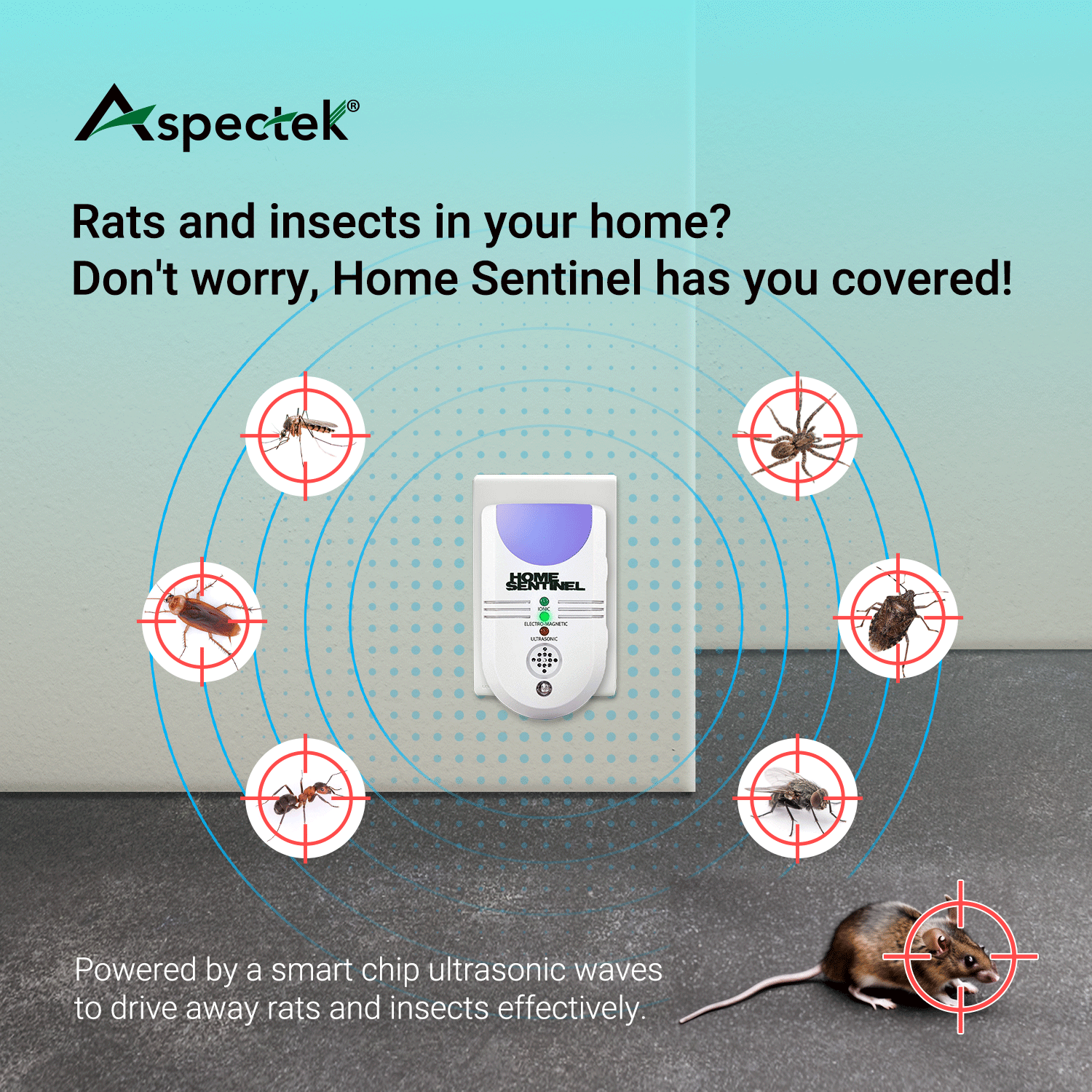 Transform Your Home into a Pest-Free Haven with Home Sentinel Indoor U ...