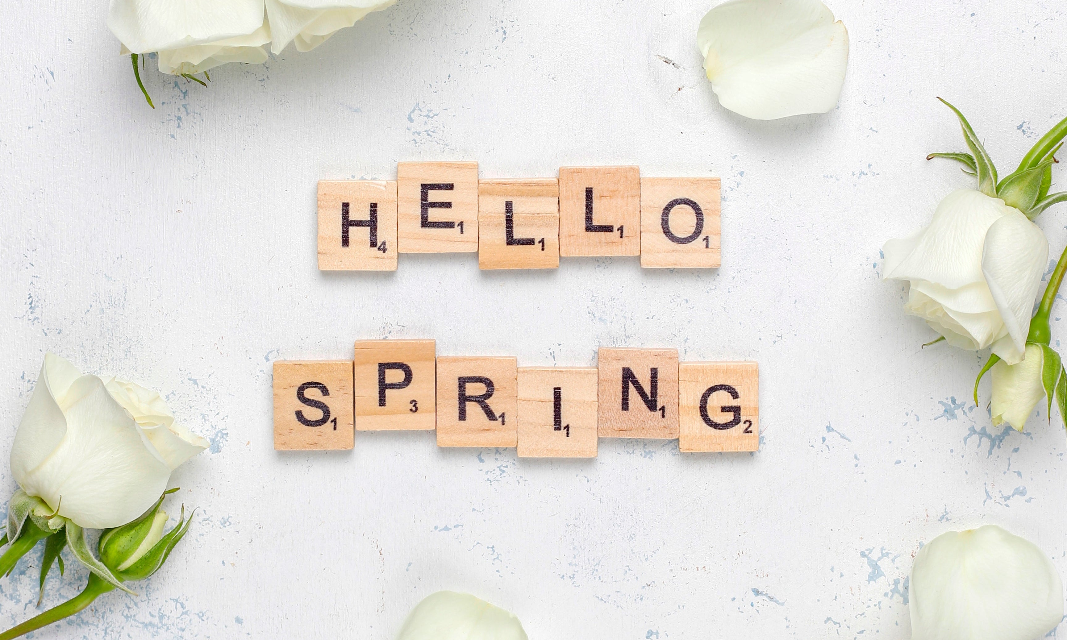 First Day of Spring 2026: A Fresh Start Begins