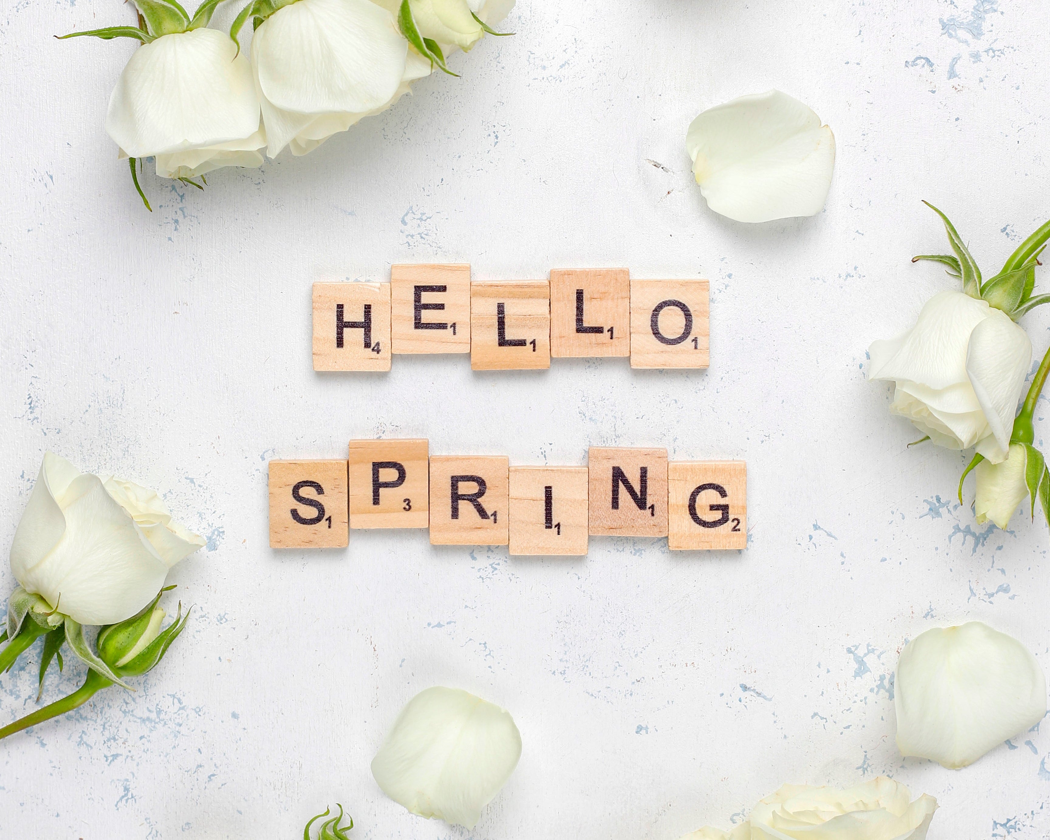 First Day of Spring 2026: A Fresh Start Begins
