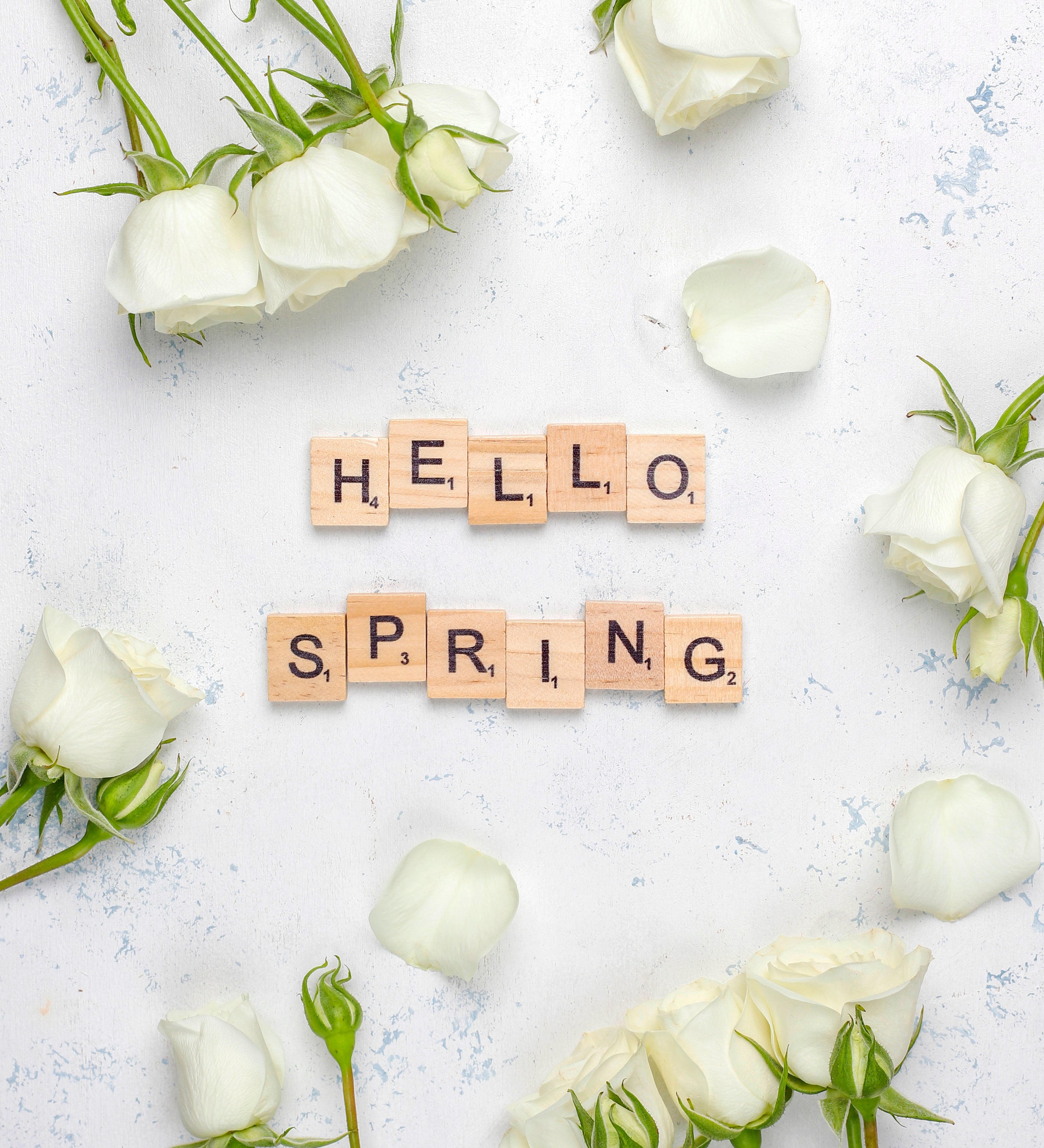 First Day of Spring 2026: A Fresh Start Begins
