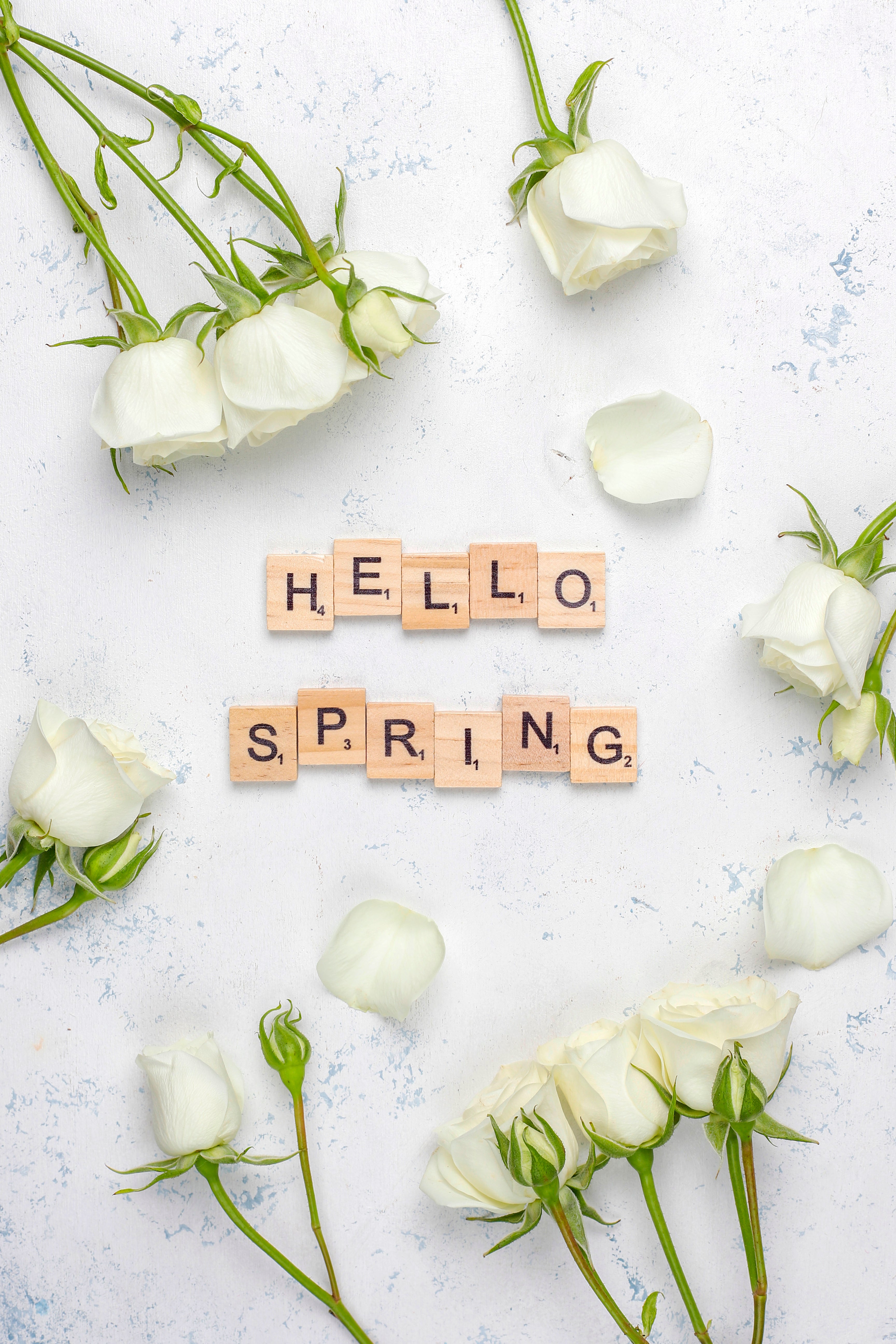First Day of Spring 2026: A Fresh Start Begins