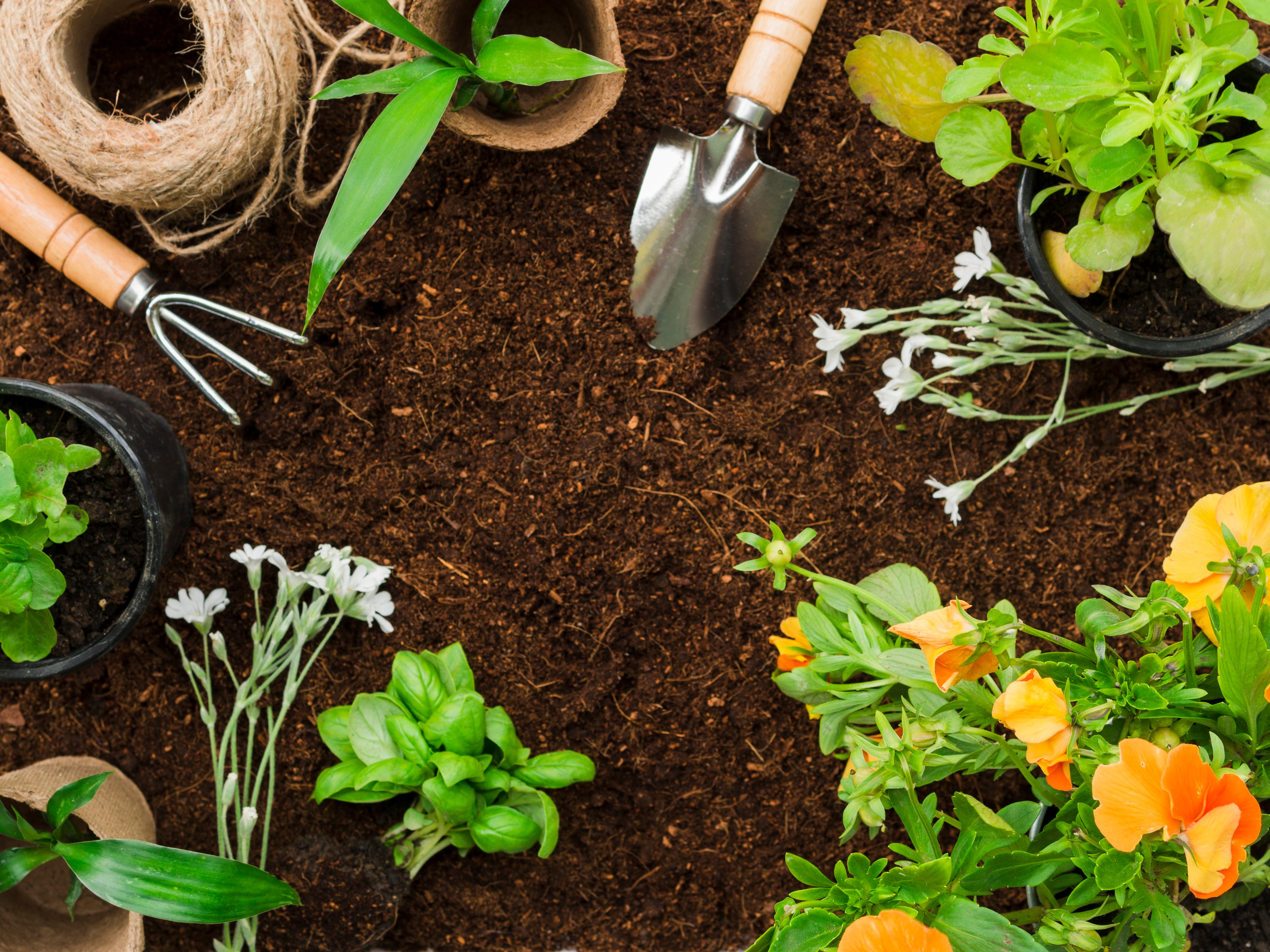Get Ready for Summer: Why You Need Basic Garden Tools