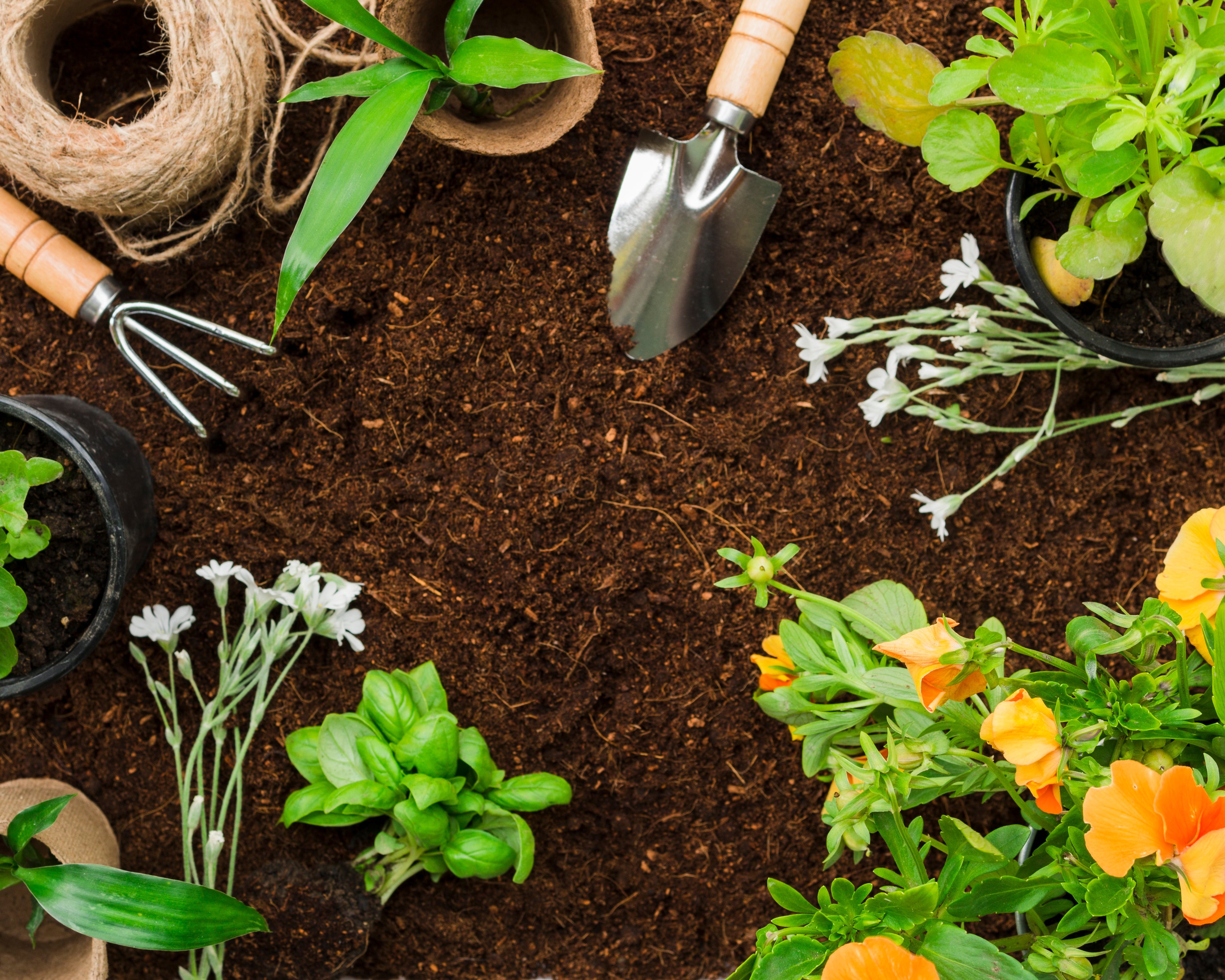 Get Ready for Summer: Why You Need Basic Garden Tools