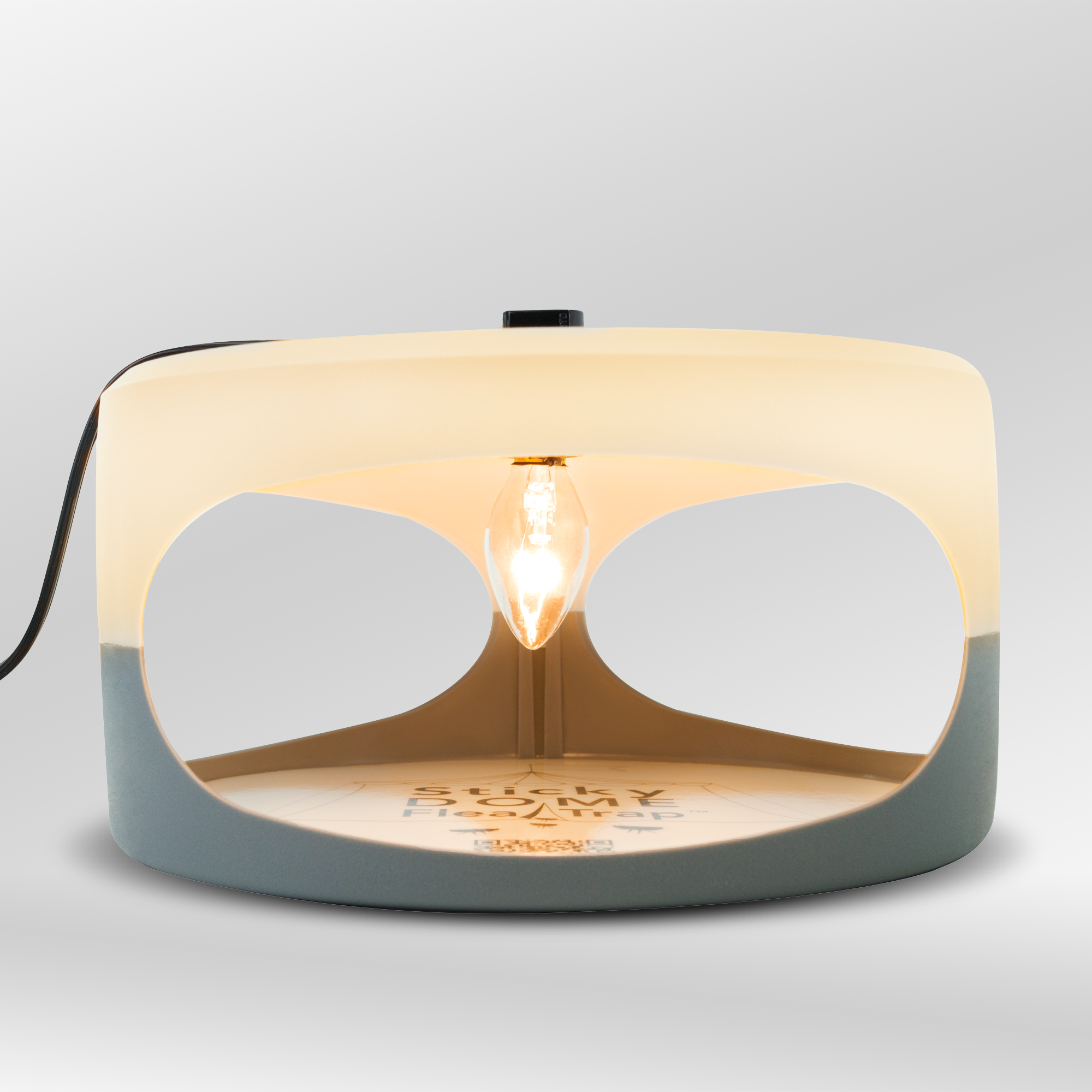 Insect Trap
