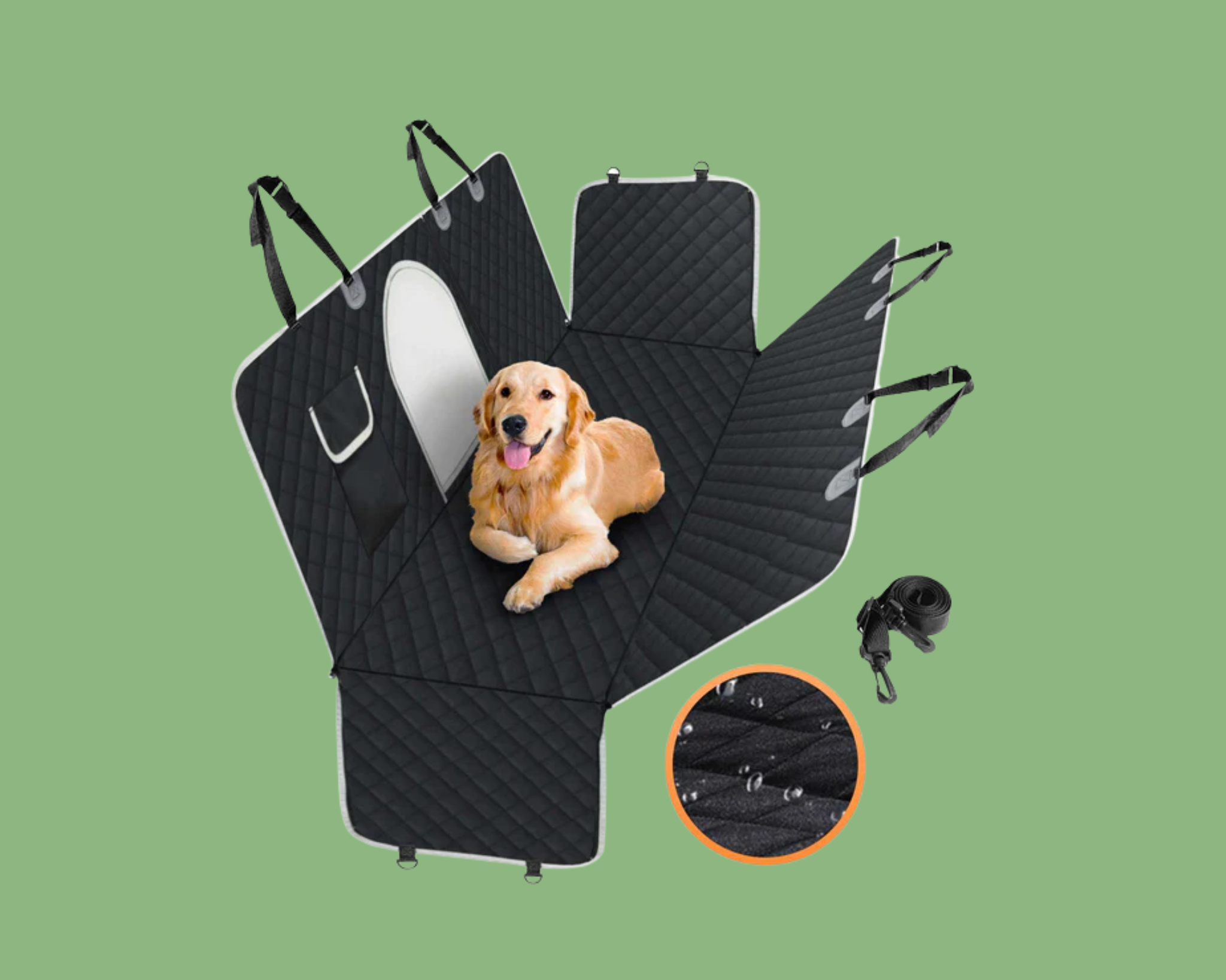 Pet