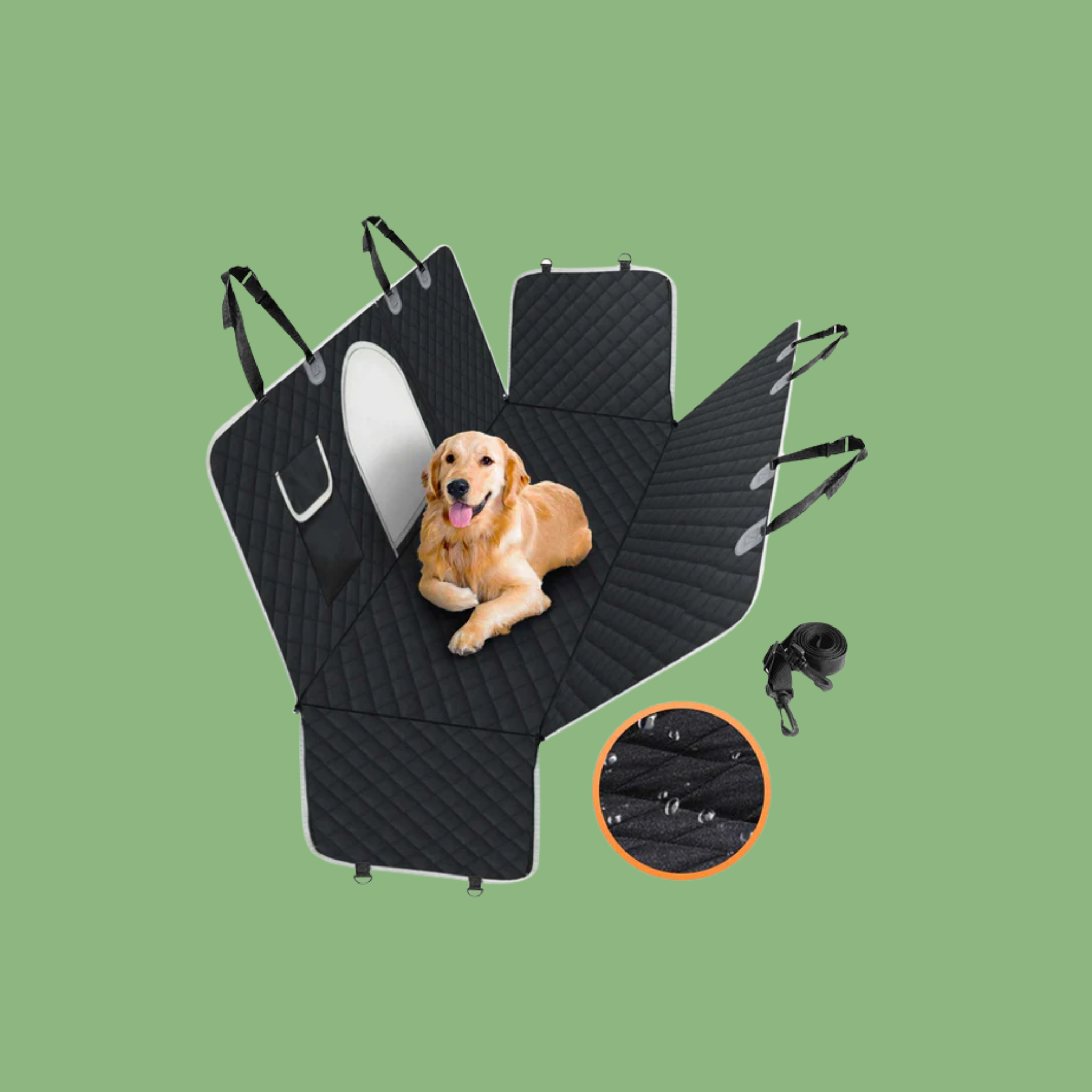 Pet