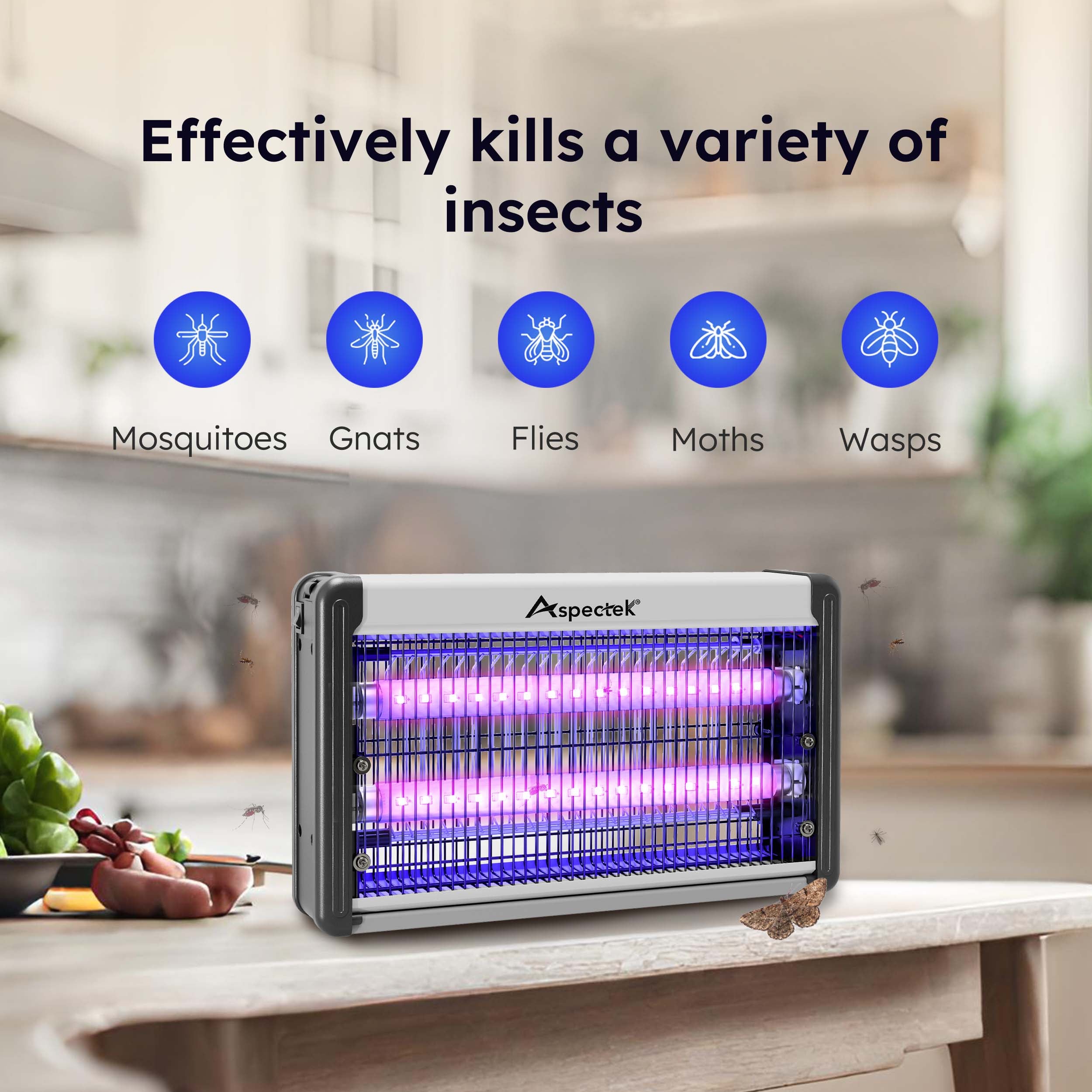 Insect zapper with purple lights

