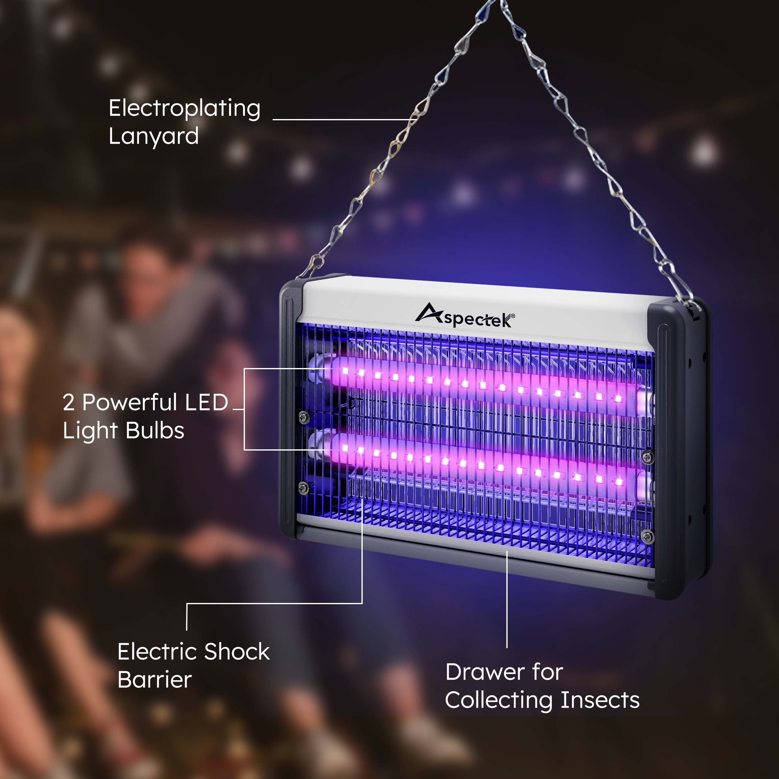 Insect zapper with purple lights