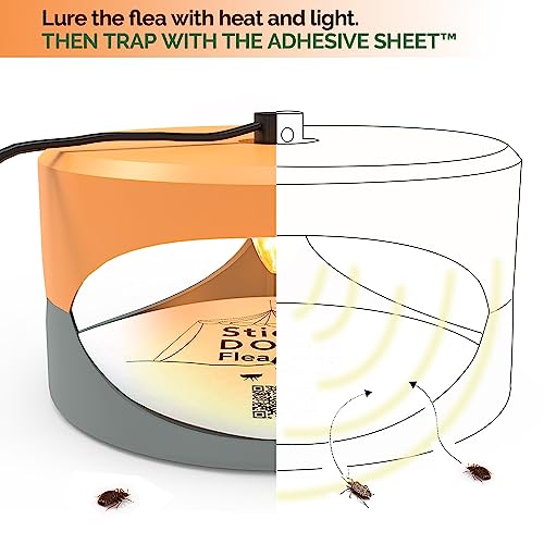 Aspectek  Trapest Sticky Dome Bug Trap with 2 Glue Discs. Odorless Cleaner and Flea Killer Trap Pad