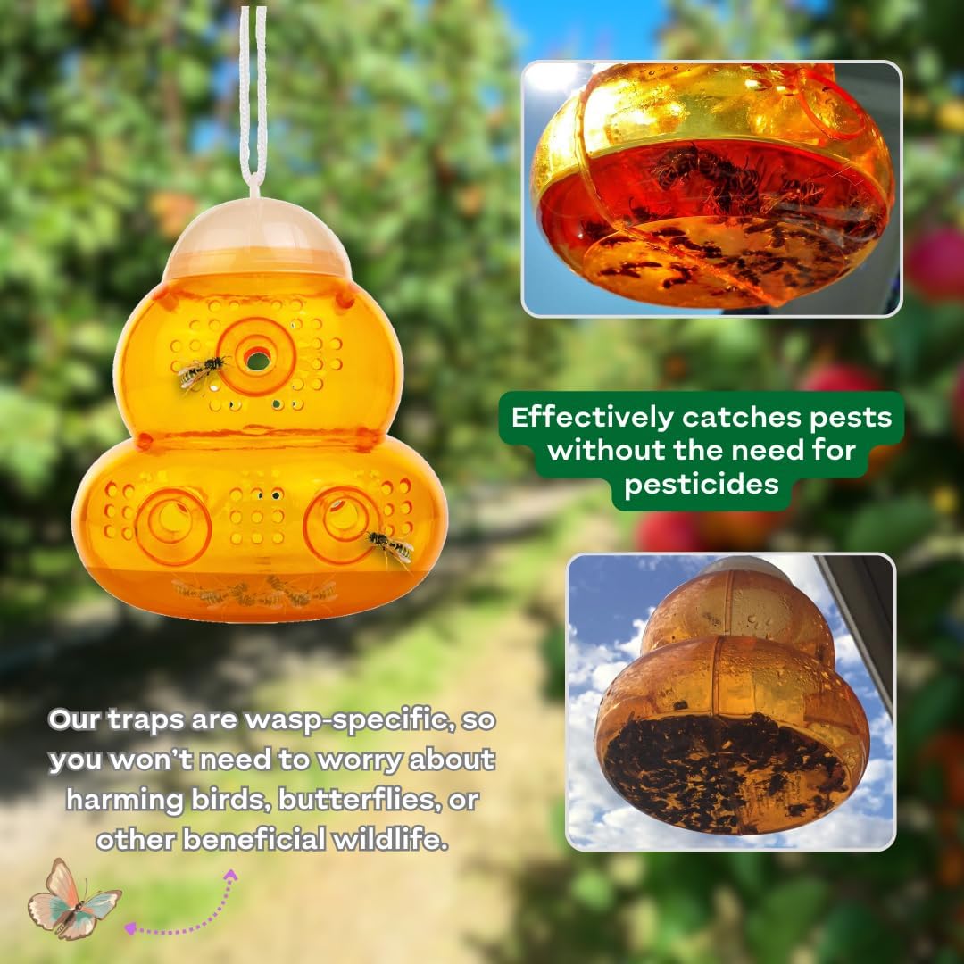 Wasp trap with images of wasps and text highlighting its effectiveness and safety.