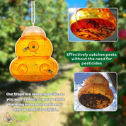 Wasp trap with images of wasps and text highlighting its effectiveness and safety.