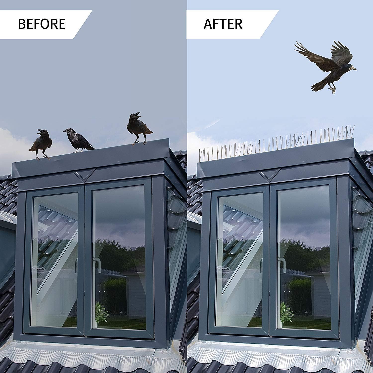 Durable bird spike deterrent to prevent birds from landing on ledges, roofs, and fences
