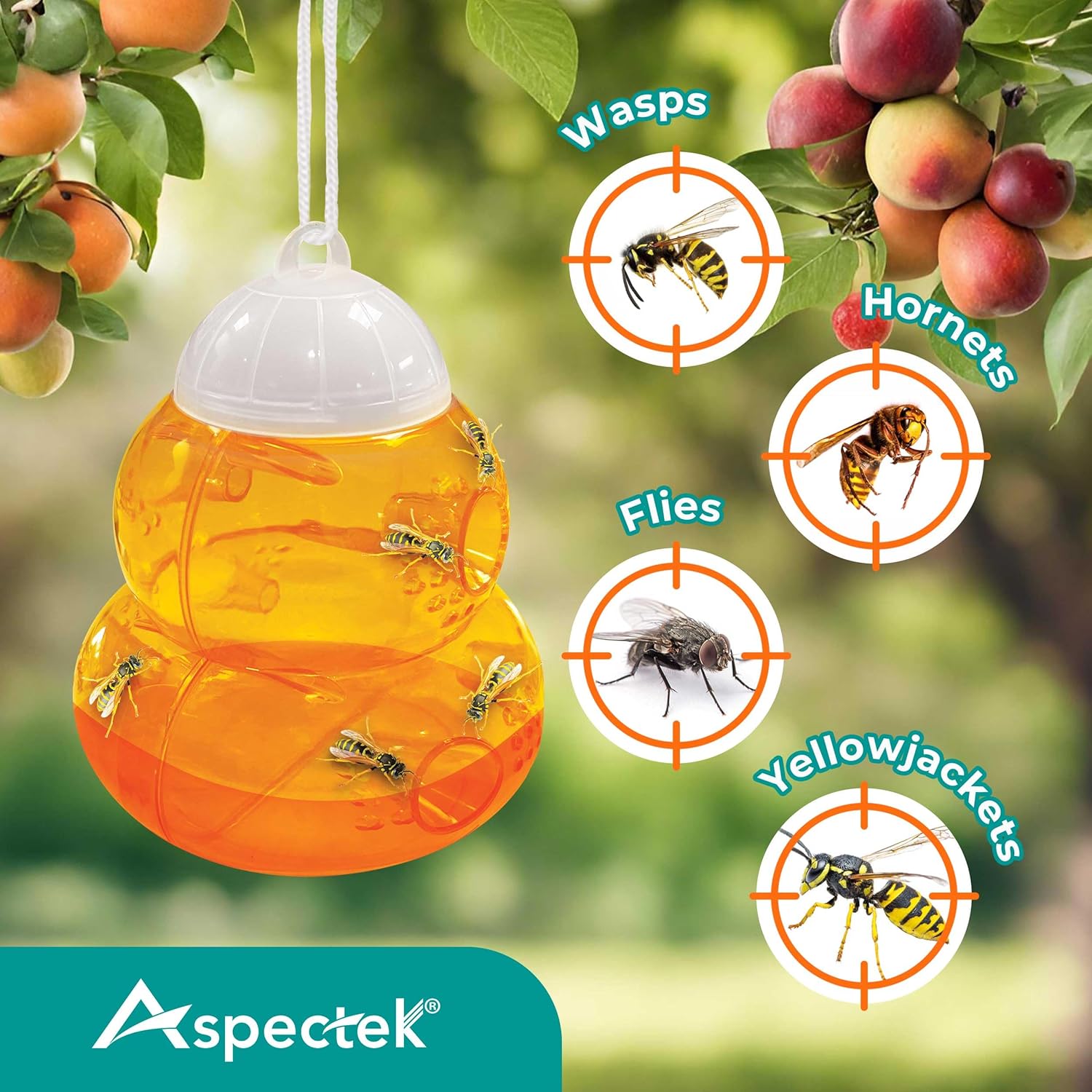 Aspectek Wasp Trap 2-pack - Traps Wasps, Hornets, and Bees