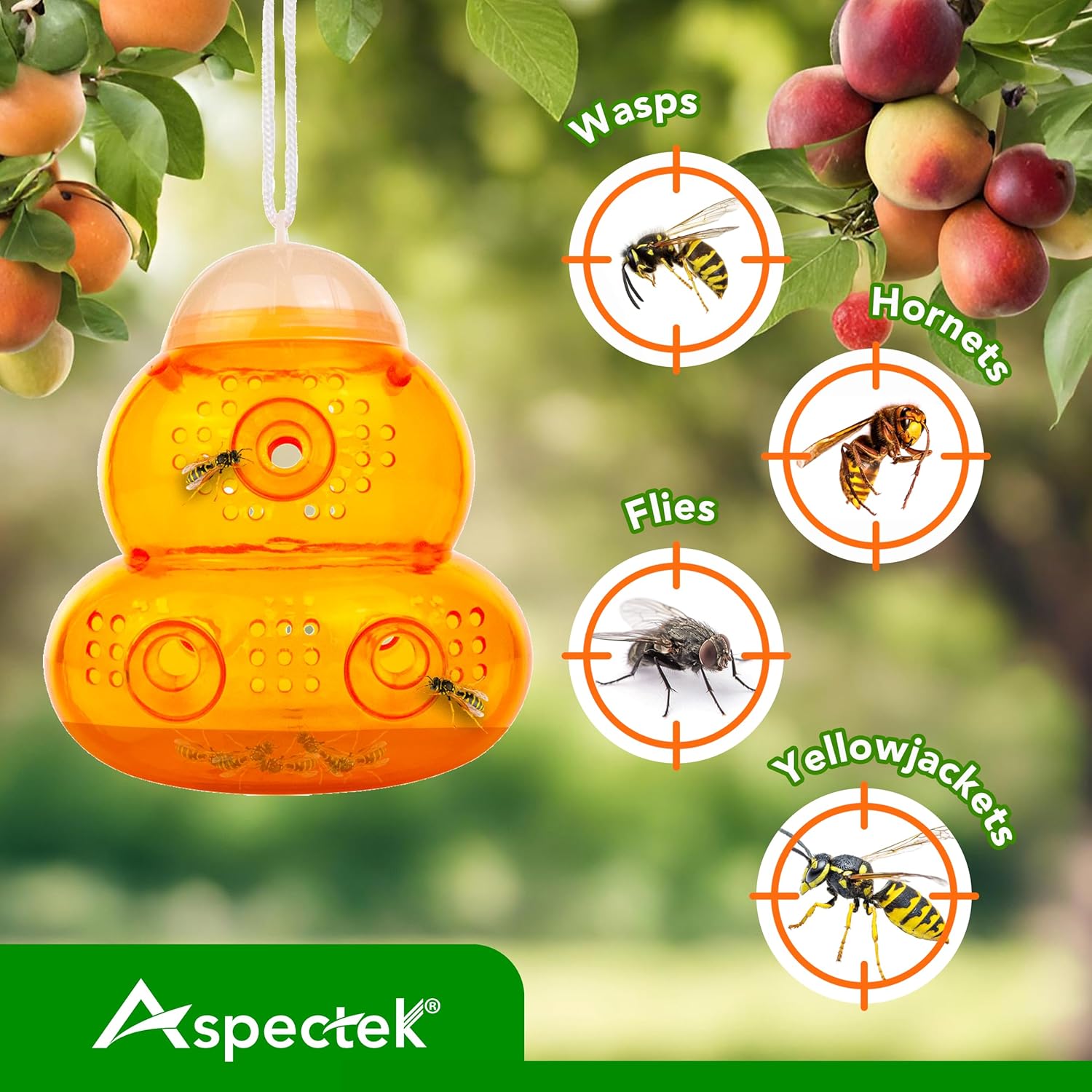 Orange insect trap hanging among fruit with pest illustrations and Aspectek branding.
